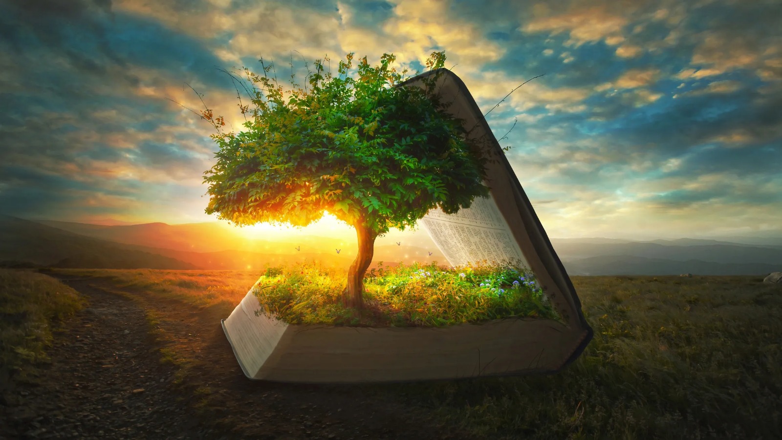 Libros con sombrero